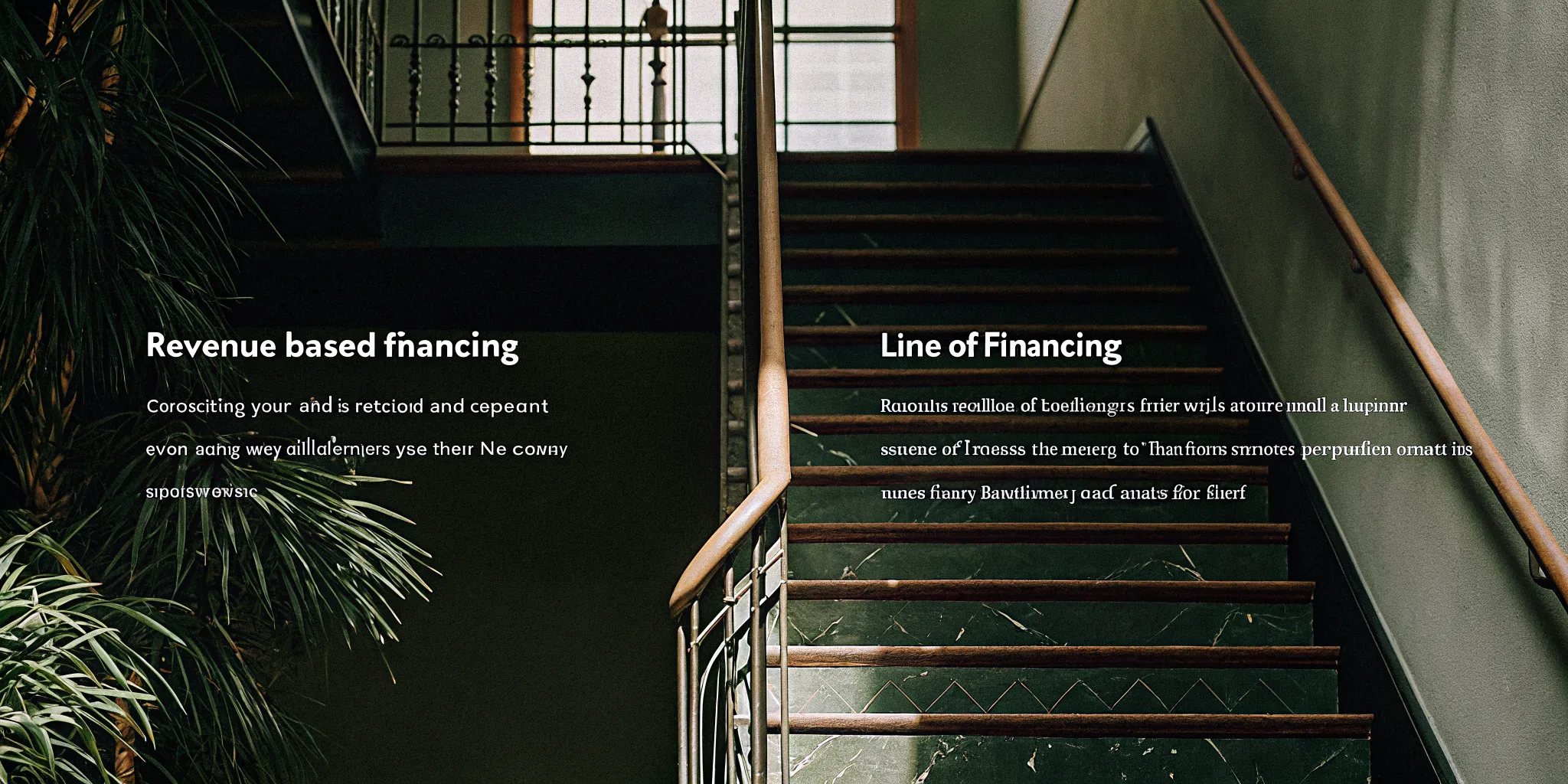 Comparison of revenue-based financing and business line of credit options for small business owners